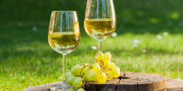 Drinking white wine could reduce risk of cardiac arrest – study | UK News