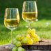 Drinking white wine could reduce risk of cardiac arrest – study | UK News