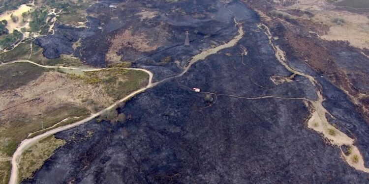 UK may be on track to see worst year for wildfires, data shows | UK News