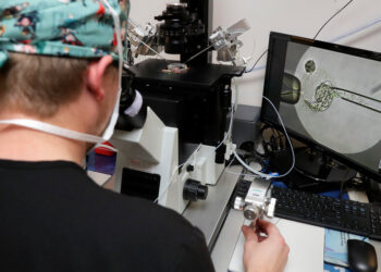 Trump Has Called for More Babies but Dismissed Fertility Experts