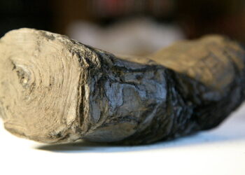 Ancient, damaged Roman scrolls have been deciphered using AI