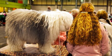 Dogs really do look and act just like their owners