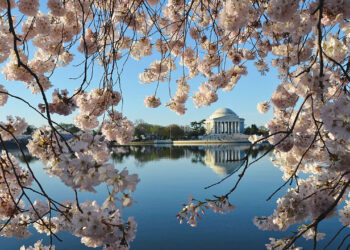 China has got lucky with Trump. Can the rest of the world?