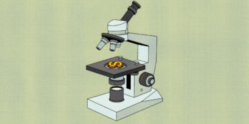 America’s scientific prowess is a huge global subsidy