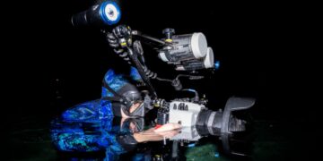 This wildlife filmmaker documents the unseen beauty of freshwater ecosystems