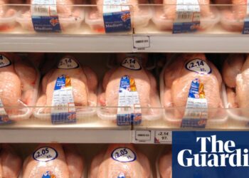 Chlorinated chicken and hormone-fed beef may not be essential for US-UK trade deal | Trade policy