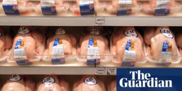 Chlorinated chicken and hormone-fed beef may not be essential for US-UK trade deal | Trade policy