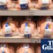 Chlorinated chicken and hormone-fed beef may not be essential for US-UK trade deal | Trade policy