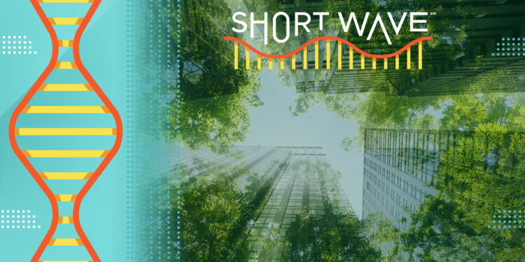 How AI could shrink its environmental footprint : Short Wave : NPR