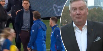 Luke Beveridge, Kane Cornes clash before Western Bulldogs vs Geelong Cats game, video