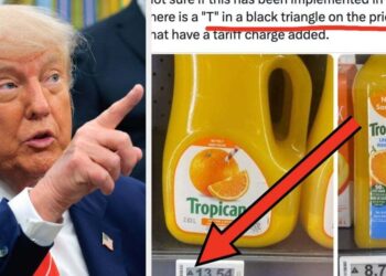 ‘It’s Real Y’all’: People Are Sharing Their Tariff Receipts, And My Wallet Is Not Ready For What’s Coming