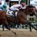 Journalism Wins The Preakness Two Weeks After Finishing 2nd In The Kentucky Derby