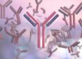 Supercharged Antibodies: Scientists Engineer Potent New Weapon Against Cancer