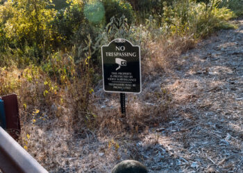 Elon Musk Tried Keeping Issues at His Texas Mansion Private, Emails Show