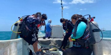 How Mexico’s Fishing Refuges Are Fighting Back Against Poaching