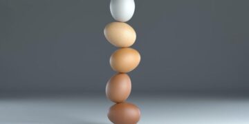 Diabetes Drug Metformin Boosts Egg Production in Chickens