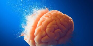 The Human Brain’s Fatal Flaw: A New Look at Alzheimer’s Origins