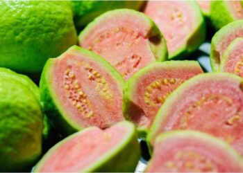 According to Scientists, These Bioactive Plants Have Anti-Cancer Properties