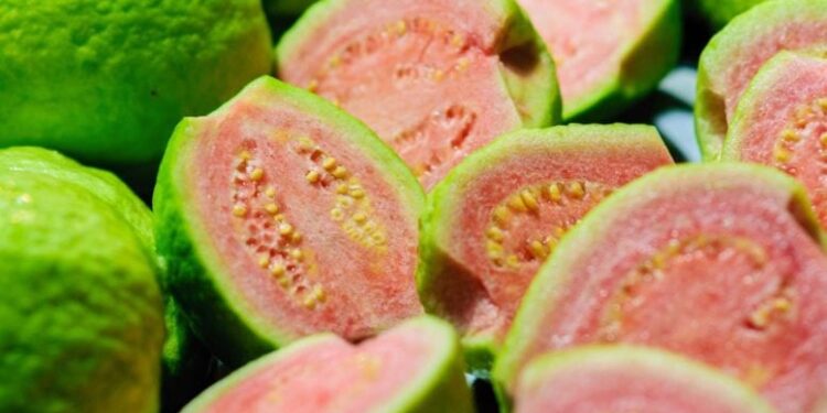 According to Scientists, These Bioactive Plants Have Anti-Cancer Properties