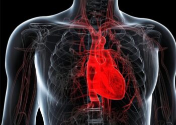 Your Heart May Be Aging Faster Than You Realize – Are You at Risk?