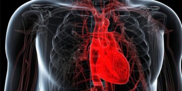 Your Heart May Be Aging Faster Than You Realize – Are You at Risk?