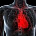 Your Heart May Be Aging Faster Than You Realize – Are You at Risk?