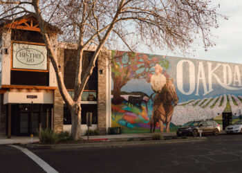 How Misinformation and Partisan ‘New Media’ Changed a California Town