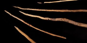 World-Famous Schöningen Spears Are 100,000 Years Younger Than Scientists Thought