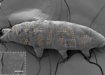 Scientists Have Used Nanotechnology To “Tattoo” Tardigrades