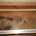 Researchers Discover “Unusually Well-Preserved” Mummy in Church Crypt