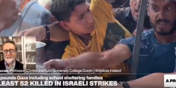 Controversial aid group starts operations in Gaza: "Not a viable solution", expert says