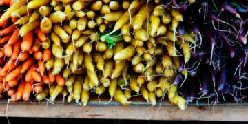 Farmers win legal fight to bring climate resources back to federal websites