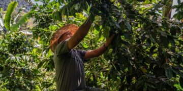 Latin America wary of US trade backlash as it builds relations with China