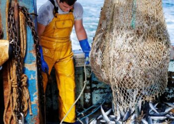 Plans to reset UK-EU relations hit trouble over fishing rights and youth mobility