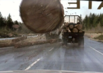 Bloodlines Features The Return Of The Logging Truck