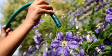 Scots urged to take shorter showers and avoid using hoses after ‘driest period in 60 years’ | UK News