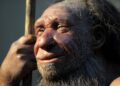 Neanderthals may have made art just like modern humans, say researchers | World News
