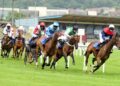 Today on Sky Sports Racing: Newton Abbot hosts six-race card | Racing News