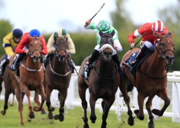 Today on Sky Sports Racing: Ripon, Yarmouth and Lingfield host competitive Flat cards | Racing News