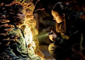 The Last of Us Season 2, Episode 5 — Release Time, Date, Plot, How to Watch