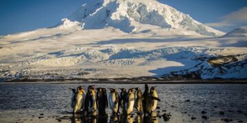 Trump’s Reciprocal Tariffs Hit Even Remote Islands