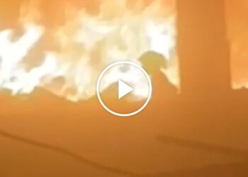 ‘Dear Girl, Get Out!’: A Young Palestinian Escapes an Israeli Strike