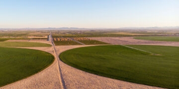 Climate change will hurt the richest farmers—and the poorest