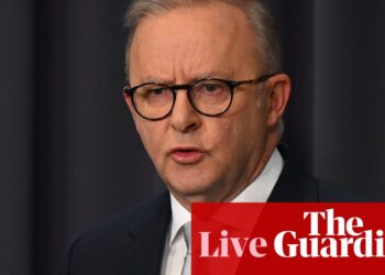 News live: Albanese says Australia hasn’t been ‘uncritical of Israel’; YouTube hits back over social media ban | Australia news