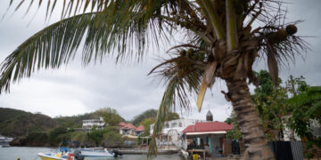 🌟The Bright Side: French scientists identify new blood type in Guadeloupe woman