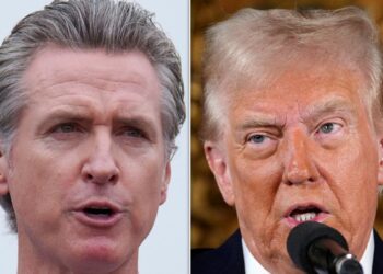 ‘Stone Cold Liar’: Gavin Newsom Puts Trump On Blast For Fantasizing Phone Call