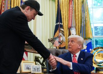 Rep. Stephen Lynch Asks Trump About Elon Musk And Drugs