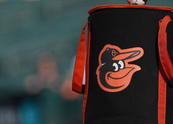 Orioles Minor League Baseball Player Dies At 19
