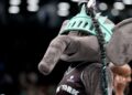 New York Liberty Players Reveal How Ellie The Elephant Powers Their Play