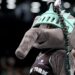 New York Liberty Players Reveal How Ellie The Elephant Powers Their Play